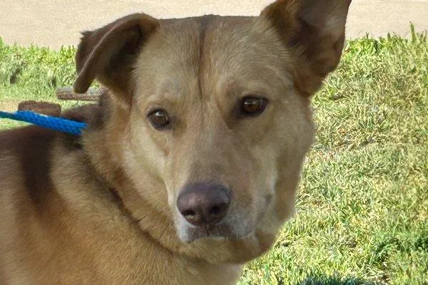 Indiana Jones thumbnail 2