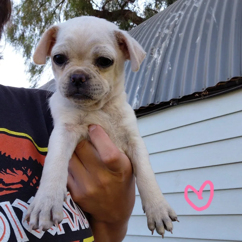 Hug thumbnail 3
