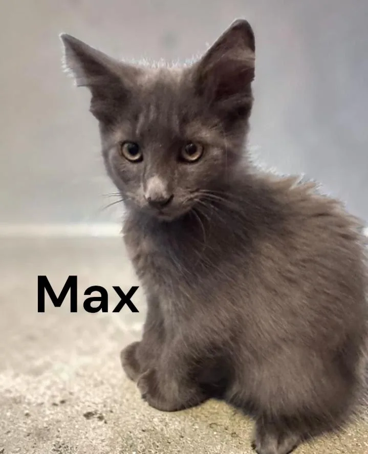 Max