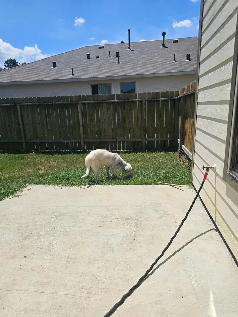 Casper thumbnail 2