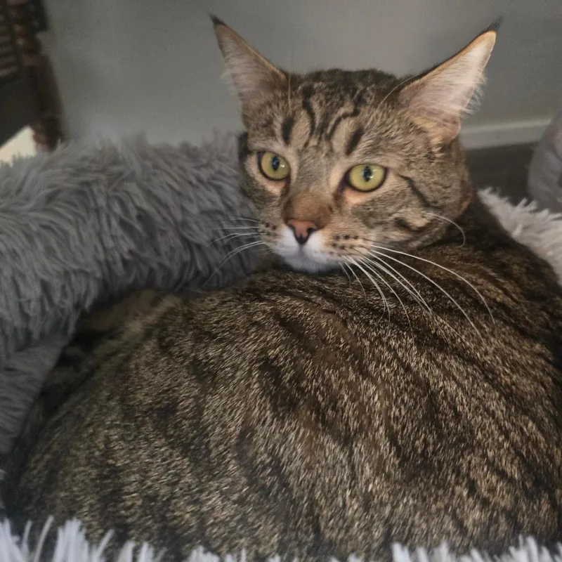 Bruno Mars thumbnail 2