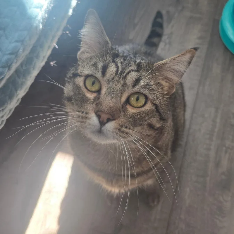 Bruno Mars thumbnail 3