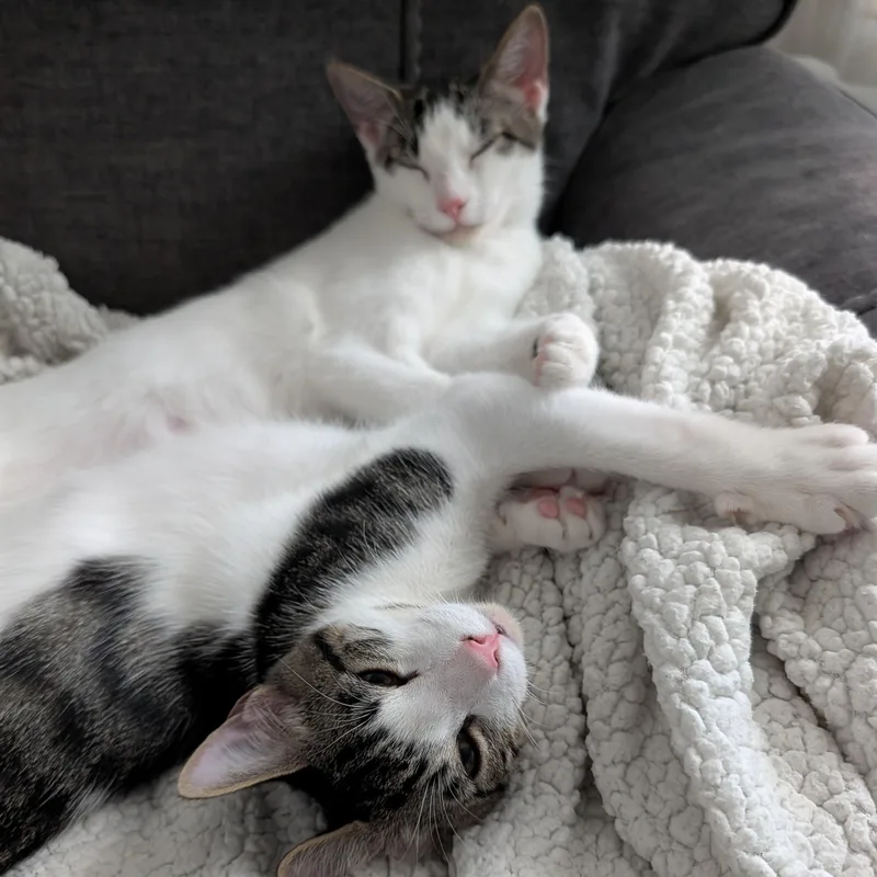 Tucker and Baby Mia thumbnail 5