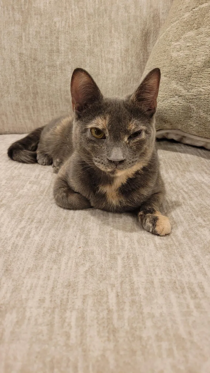 Smokey