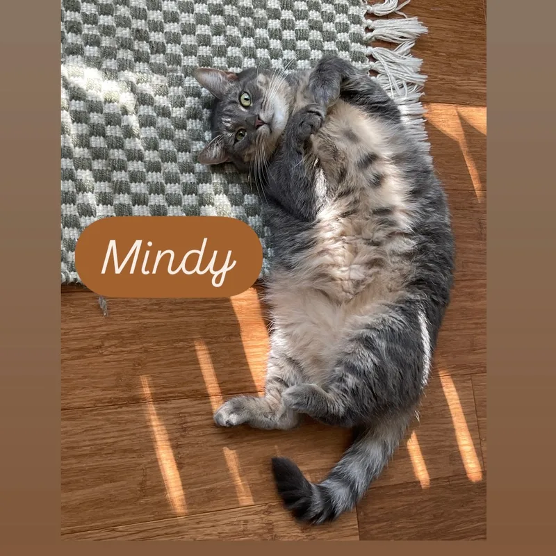 Mindy thumbnail 2