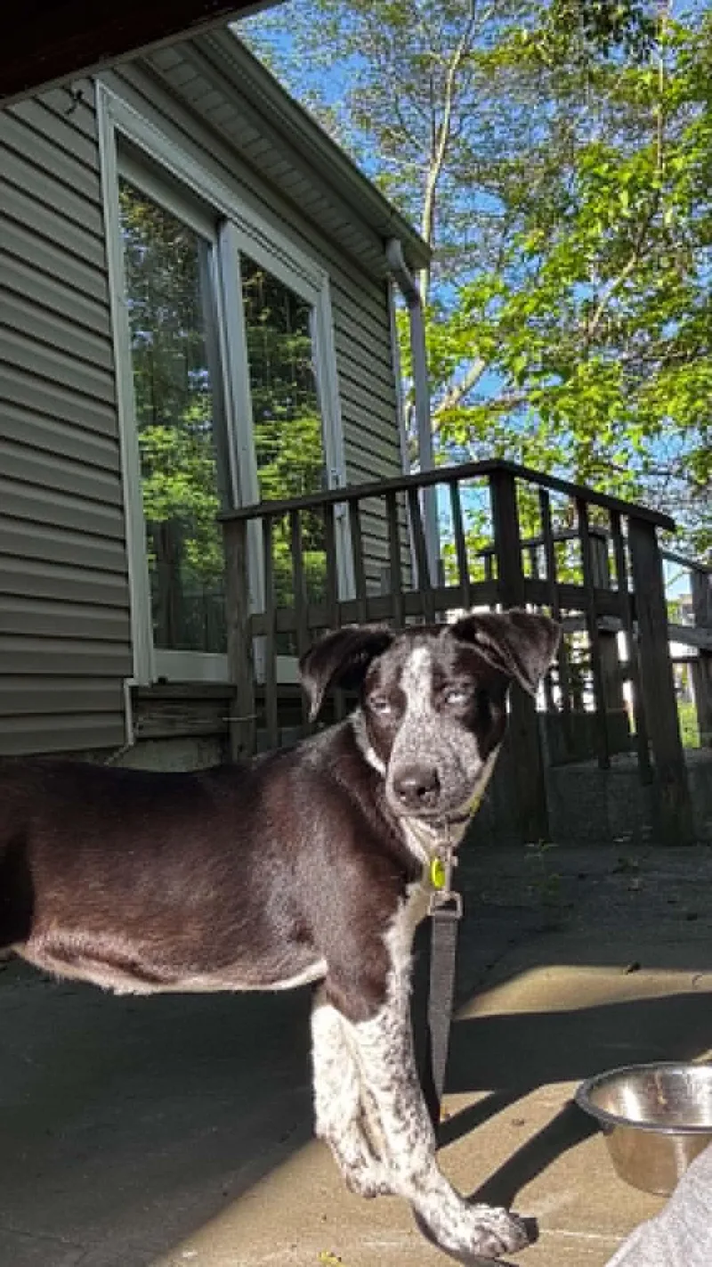 Tilly thumbnail 2