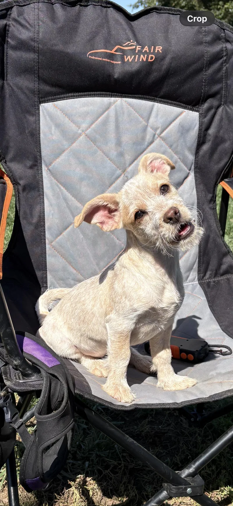 Penny The Amazing thumbnail 2