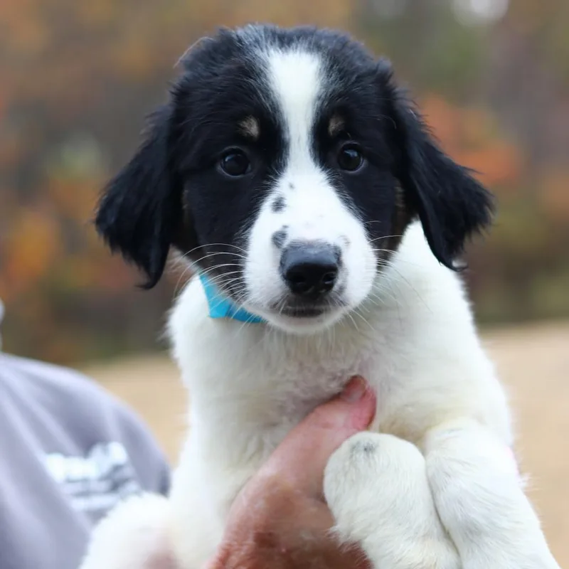 CT Mask avail Oct thumbnail 6