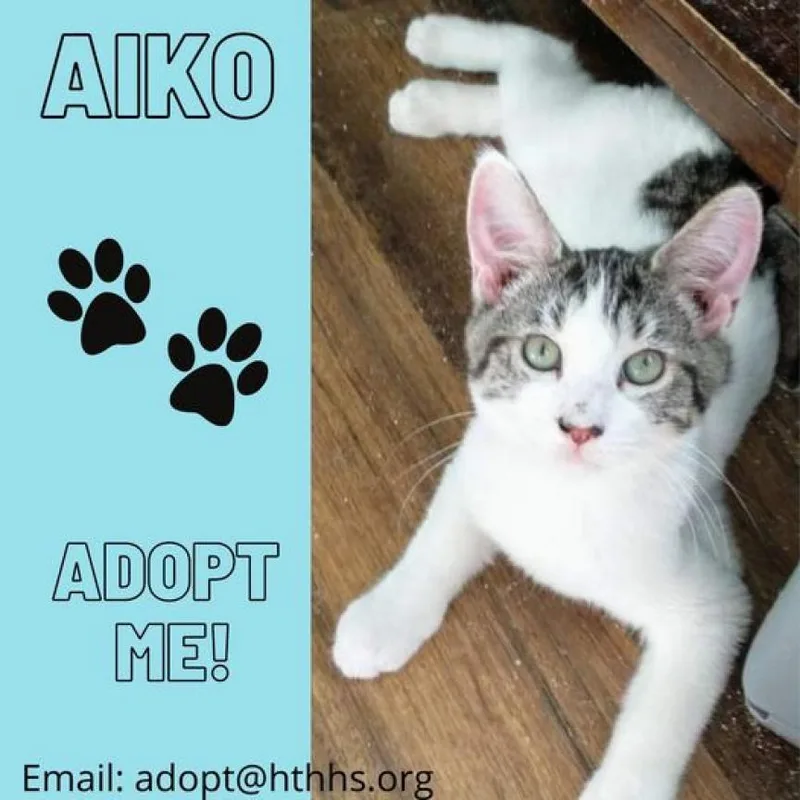 Aiko thumbnail 3