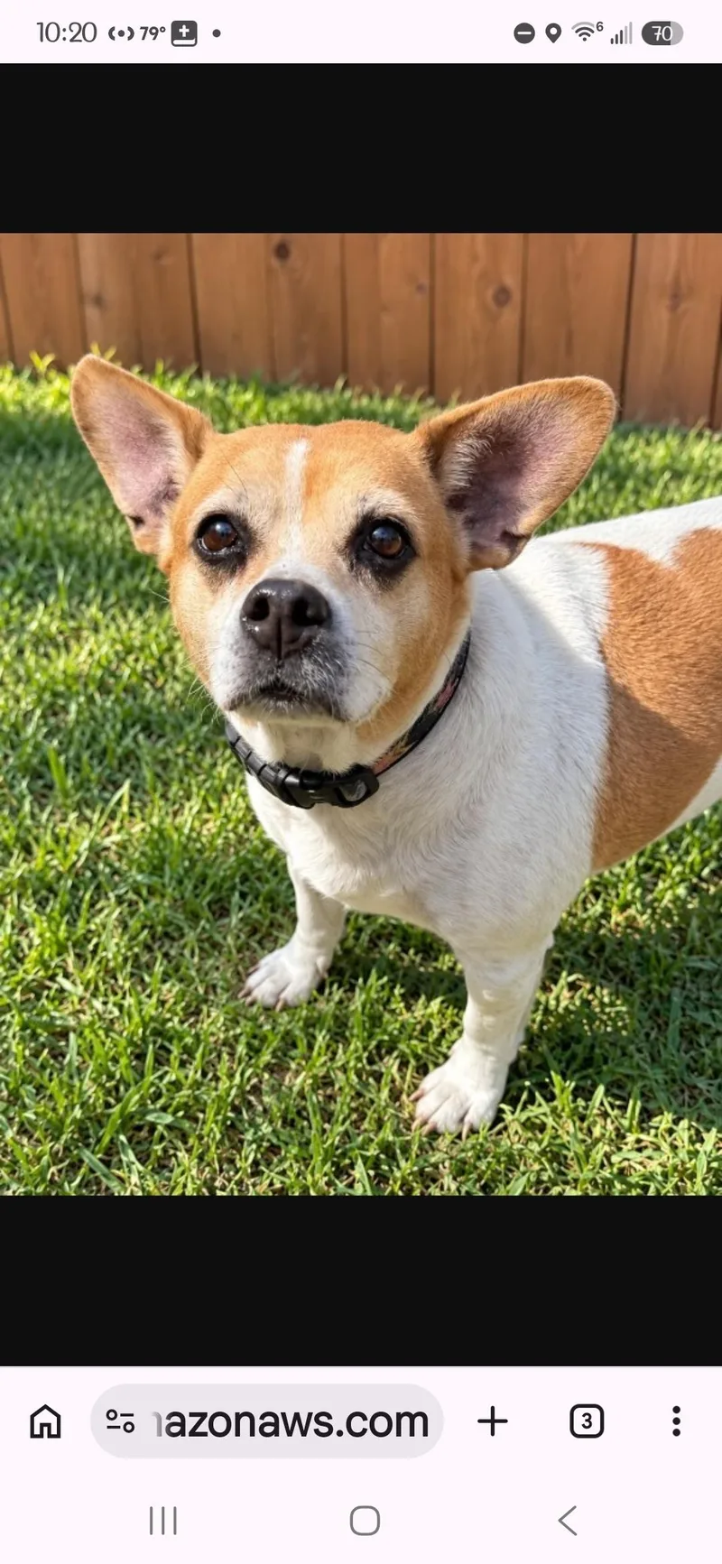 Mindy thumbnail 5