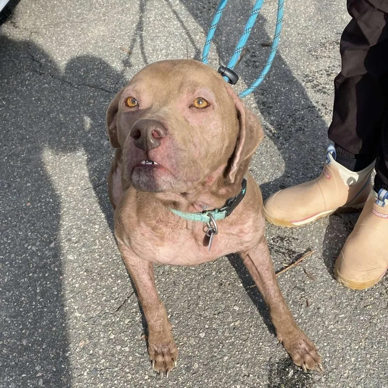 Lola Mae thumbnail 3