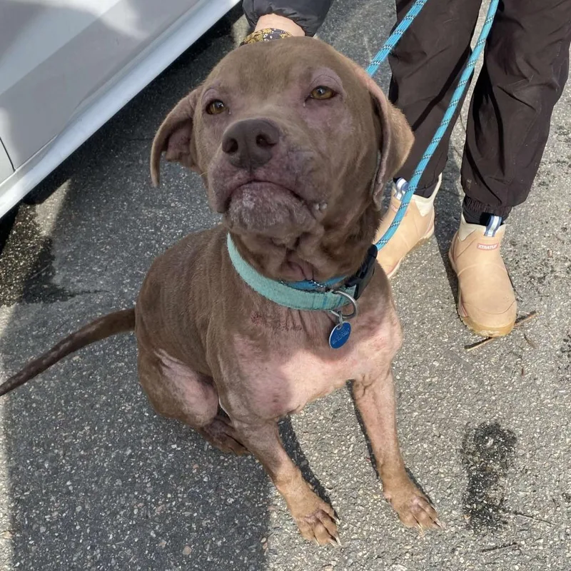 Lola Mae thumbnail 4