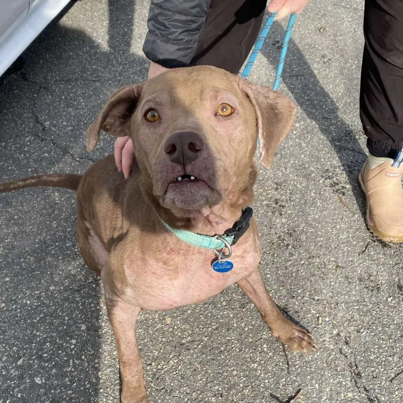 Lola Mae thumbnail 5