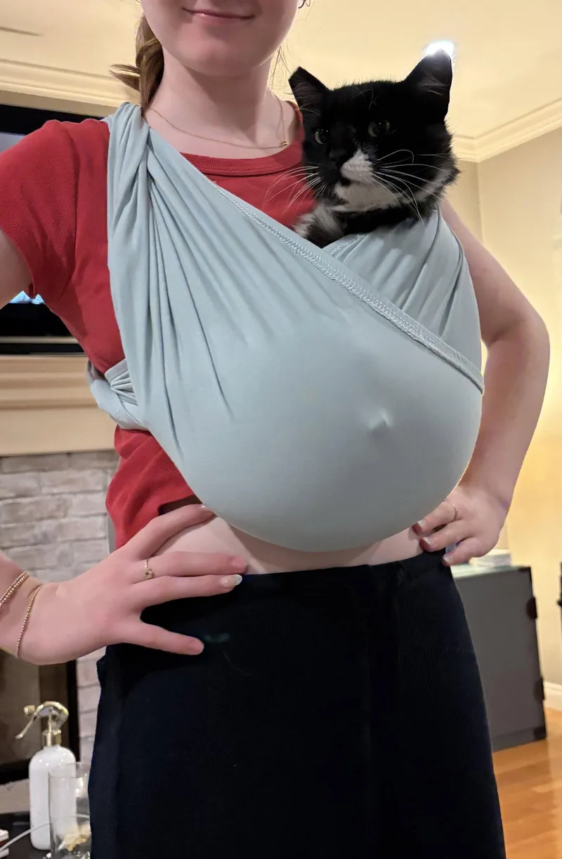 Mister thumbnail 3