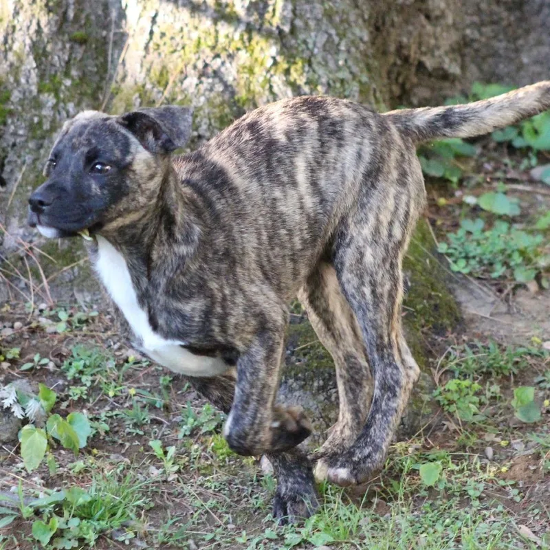 Ny Lilibet Avail Apr thumbnail 5