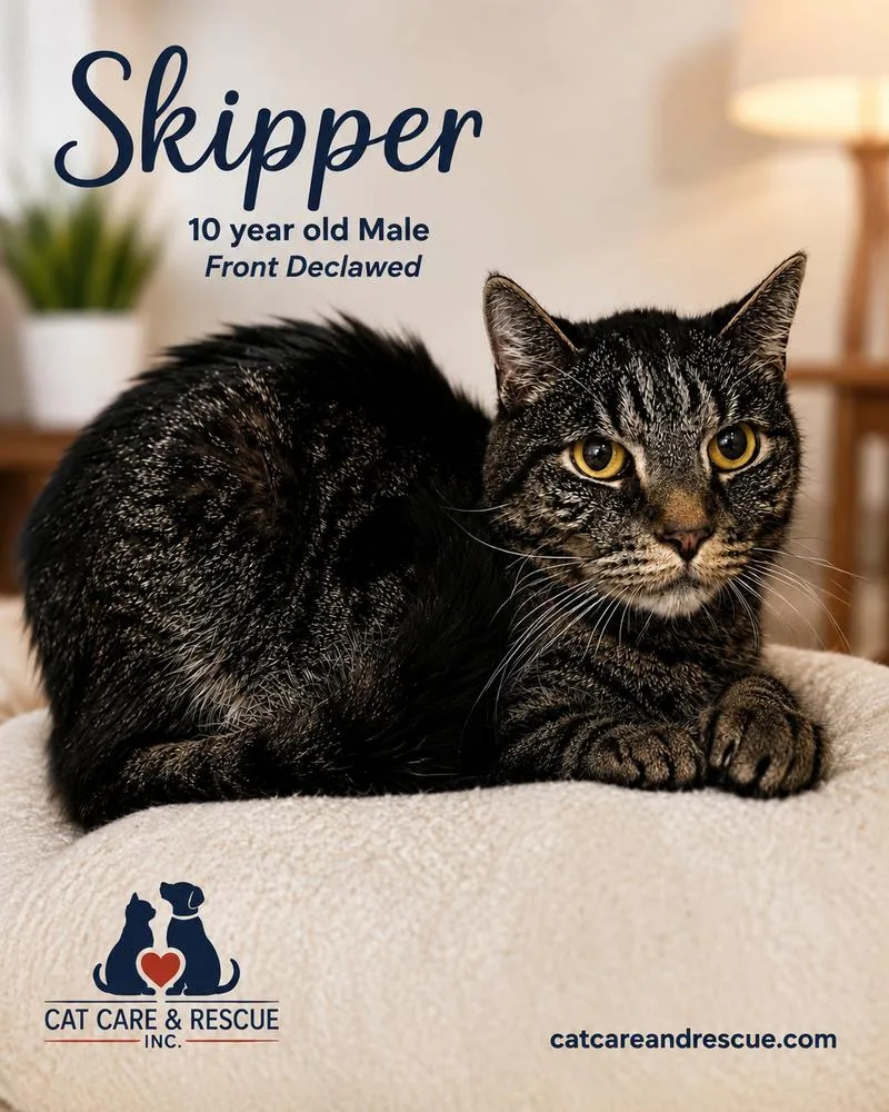 Skipper Bonded Pair
