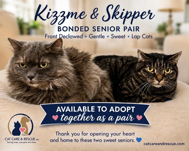 Skipper Bonded Pair thumbnail 3