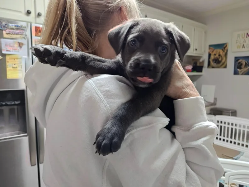 Wayne Newton thumbnail 2