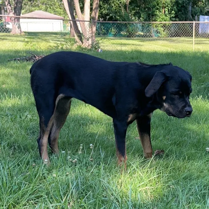 Nala  Home to thumbnail 2