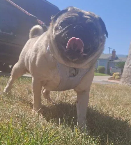 Coco thumbnail 2