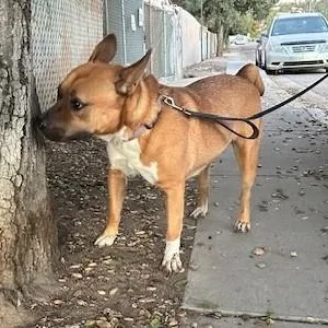 Professor Jessup thumbnail 2