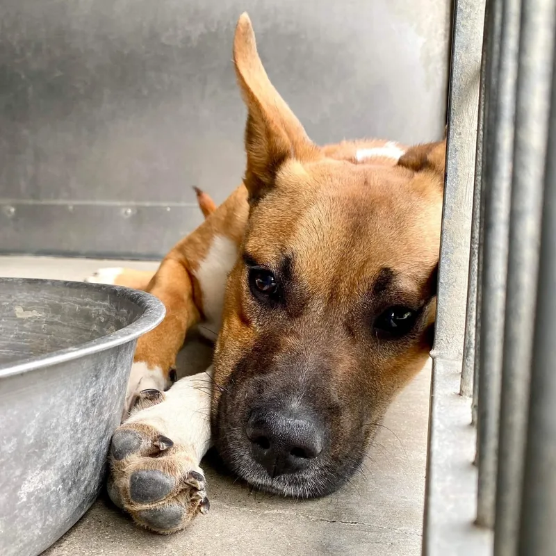 Professor Jessup thumbnail 3