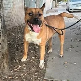 Professor Jessup thumbnail 4