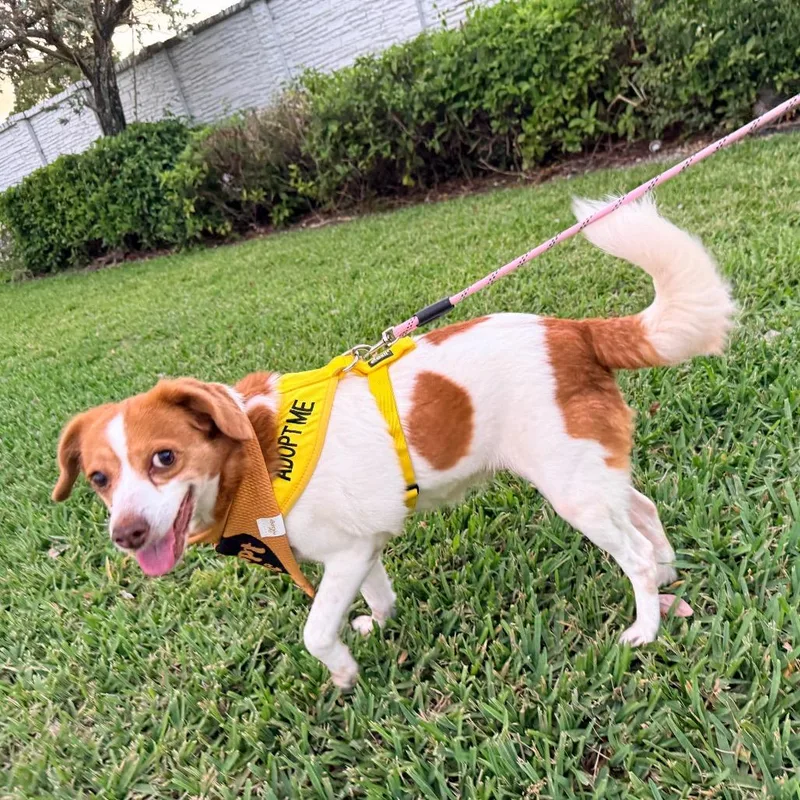 Gretchen thumbnail 2