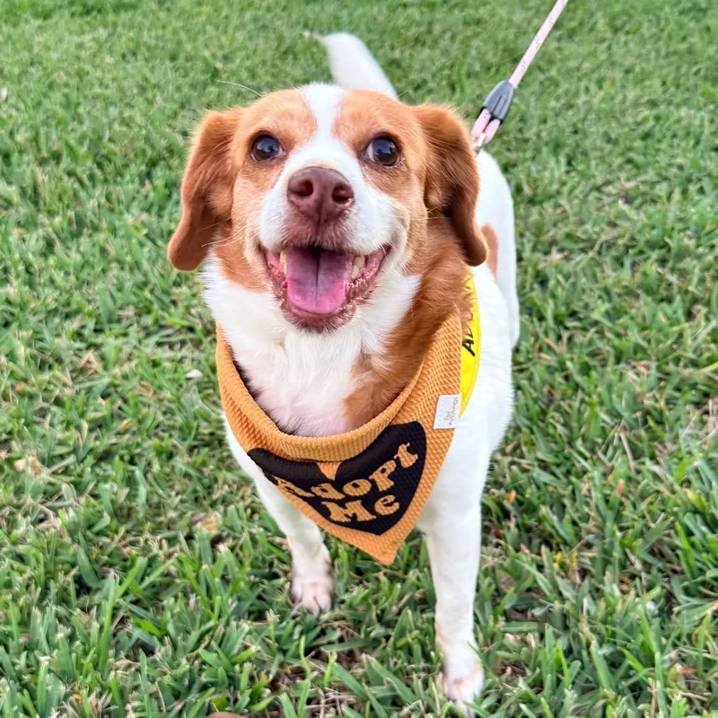 Gretchen thumbnail 3