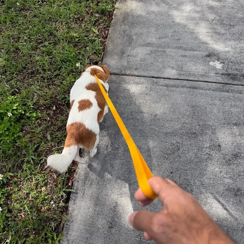 Gretchen thumbnail 4