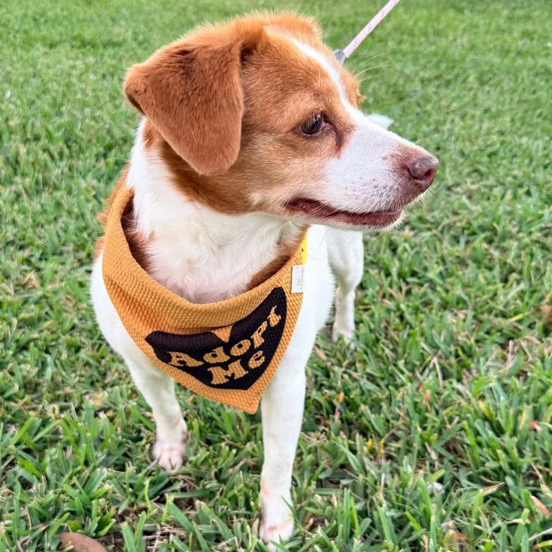 Gretchen thumbnail 6