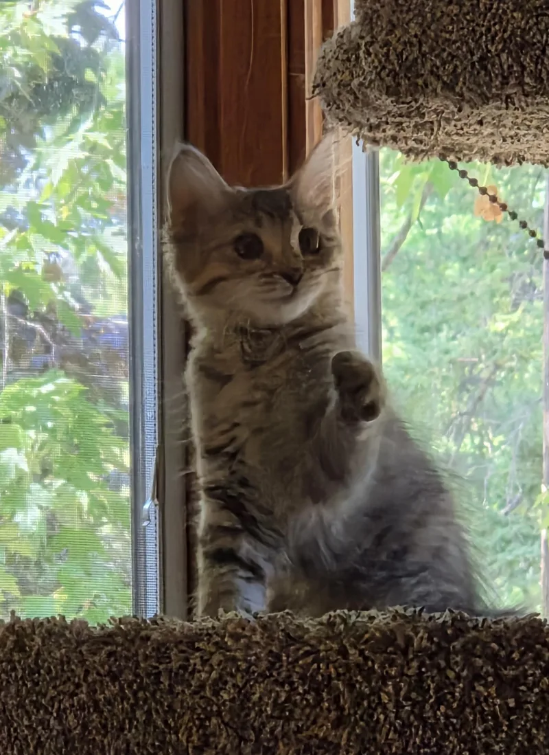 Colby thumbnail 3