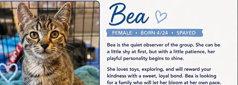Ethel & Bea thumbnail 2