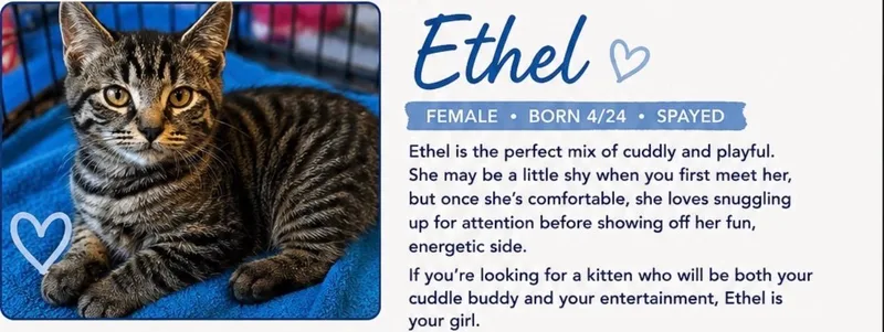 Ethel & Bea thumbnail 4