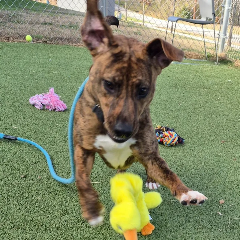 Milli Vanilli thumbnail 4