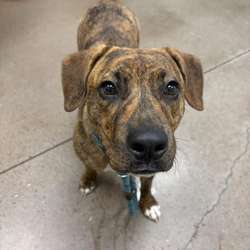 Milli Vanilli thumbnail 5