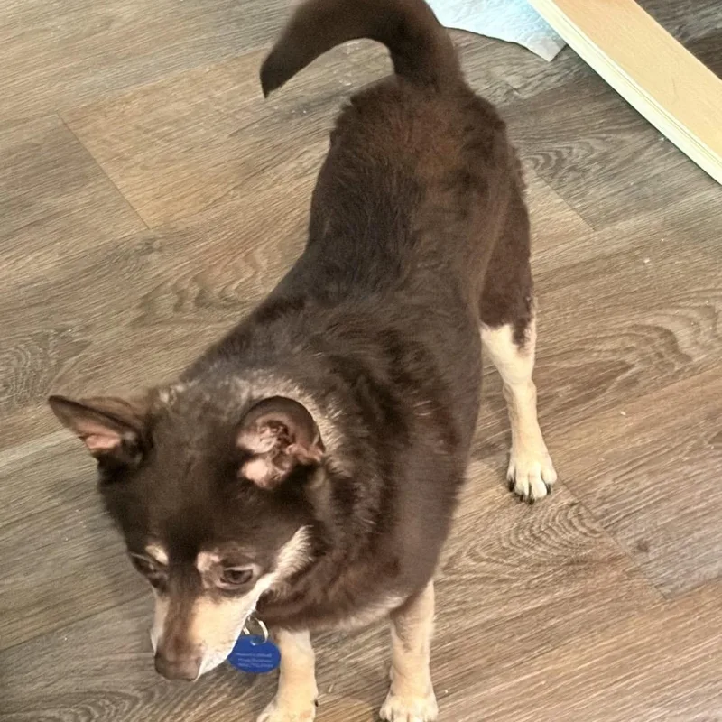 Brewster thumbnail 2