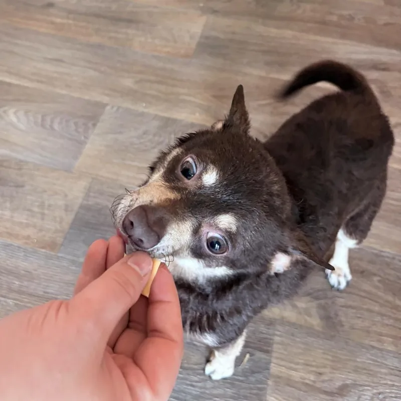 Brewster thumbnail 3