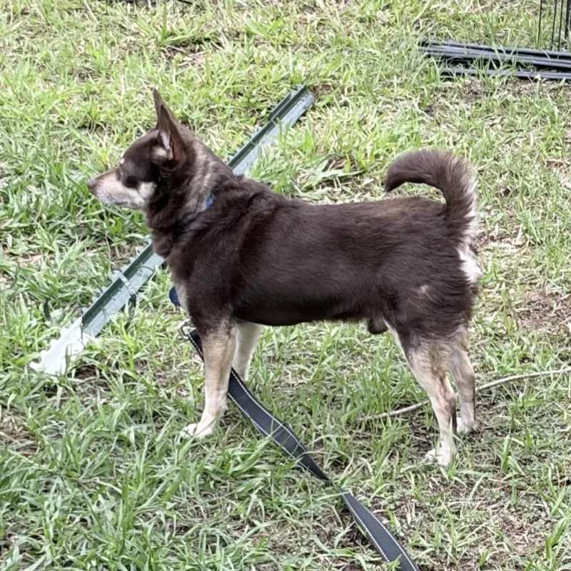 Brewster thumbnail 4