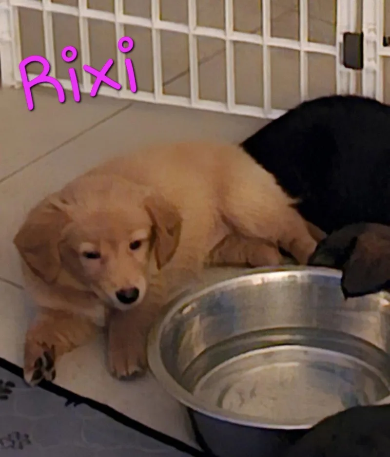Rixi thumbnail 2