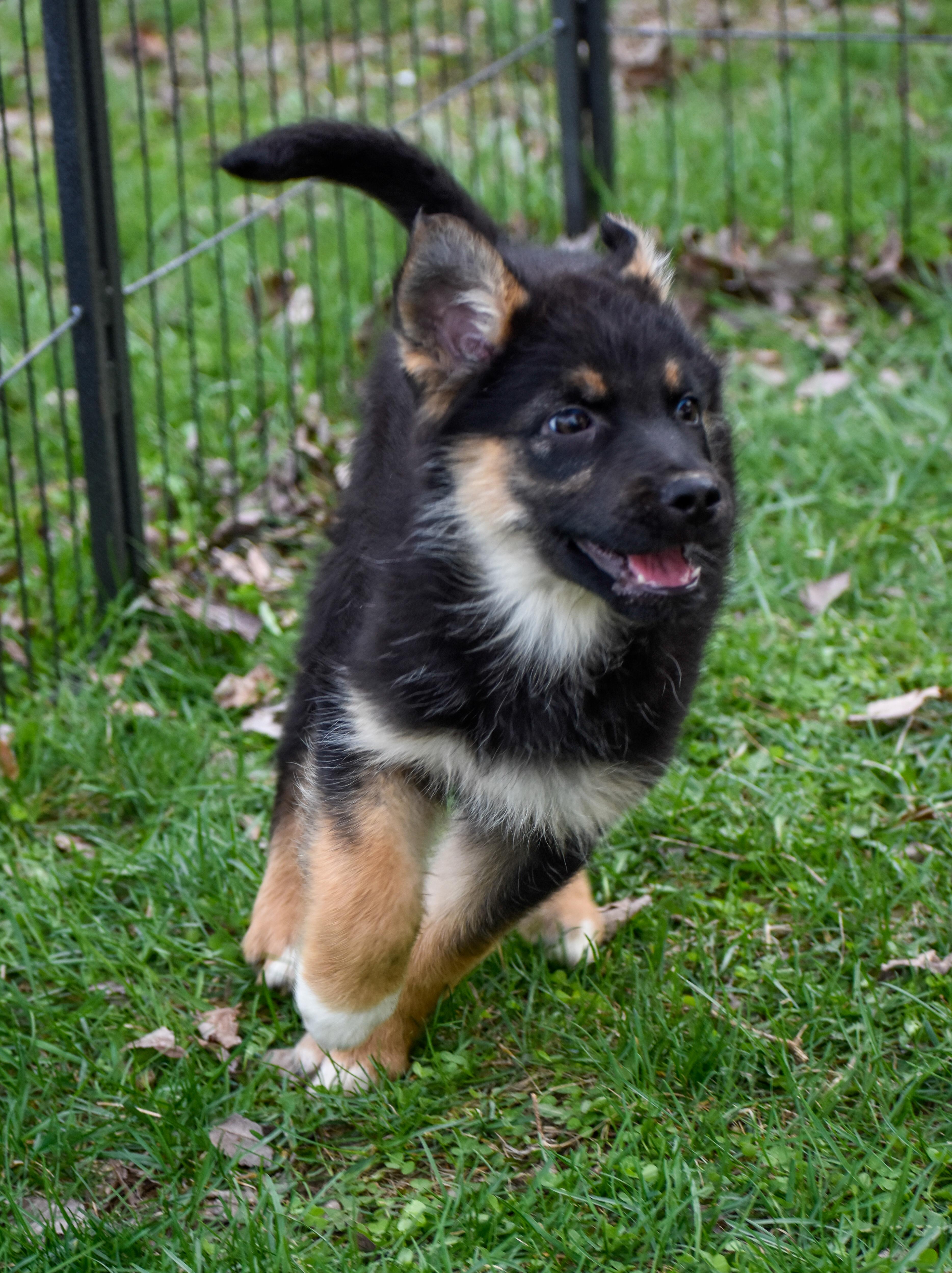 Josephine thumbnail 5