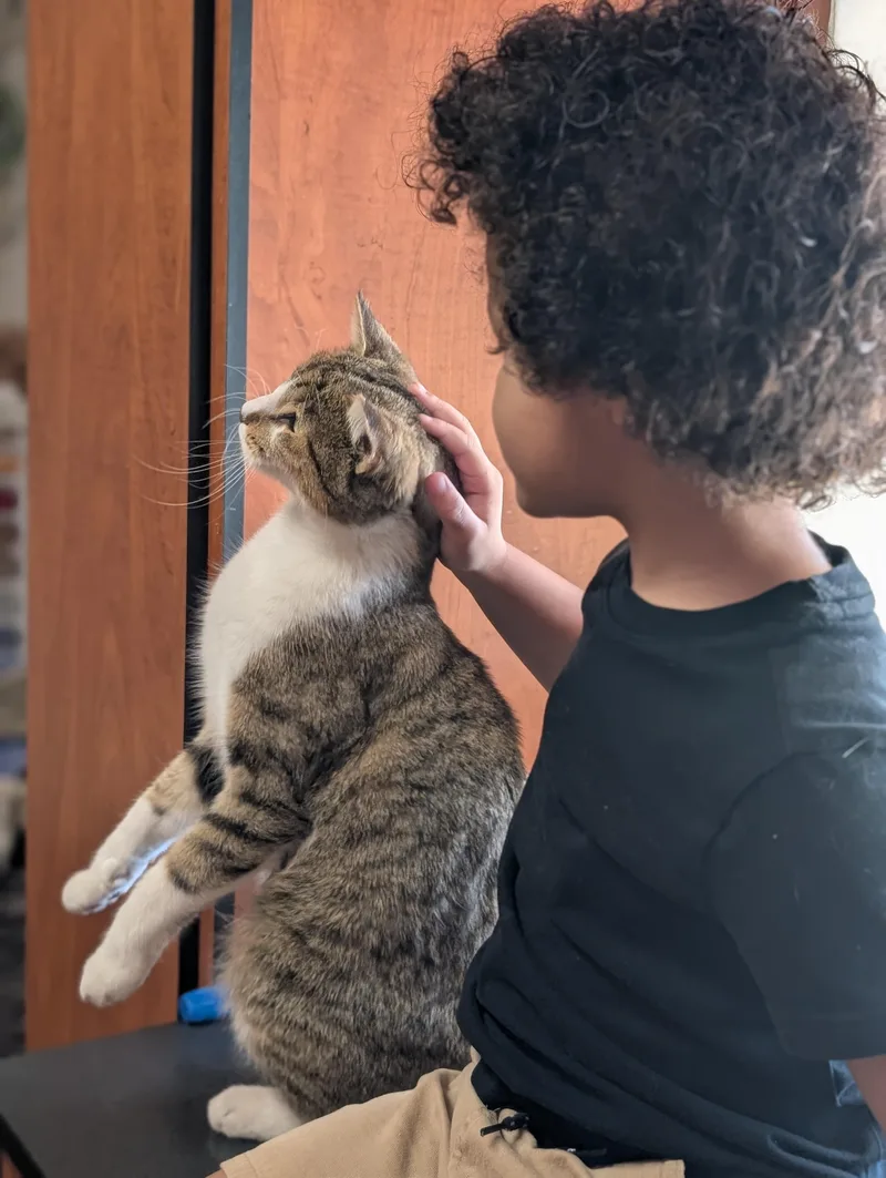 Sir Charles thumbnail 3