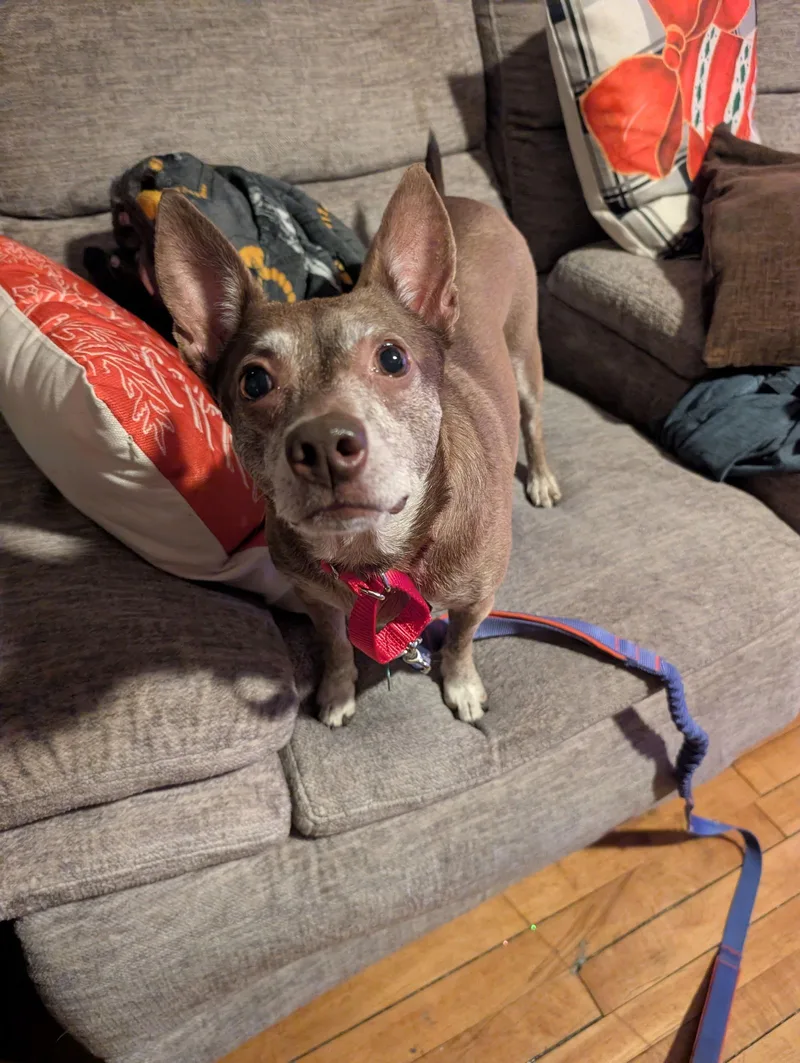 Lil' Momma thumbnail 2