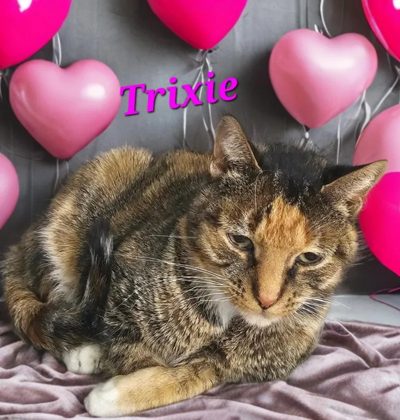 Trixie