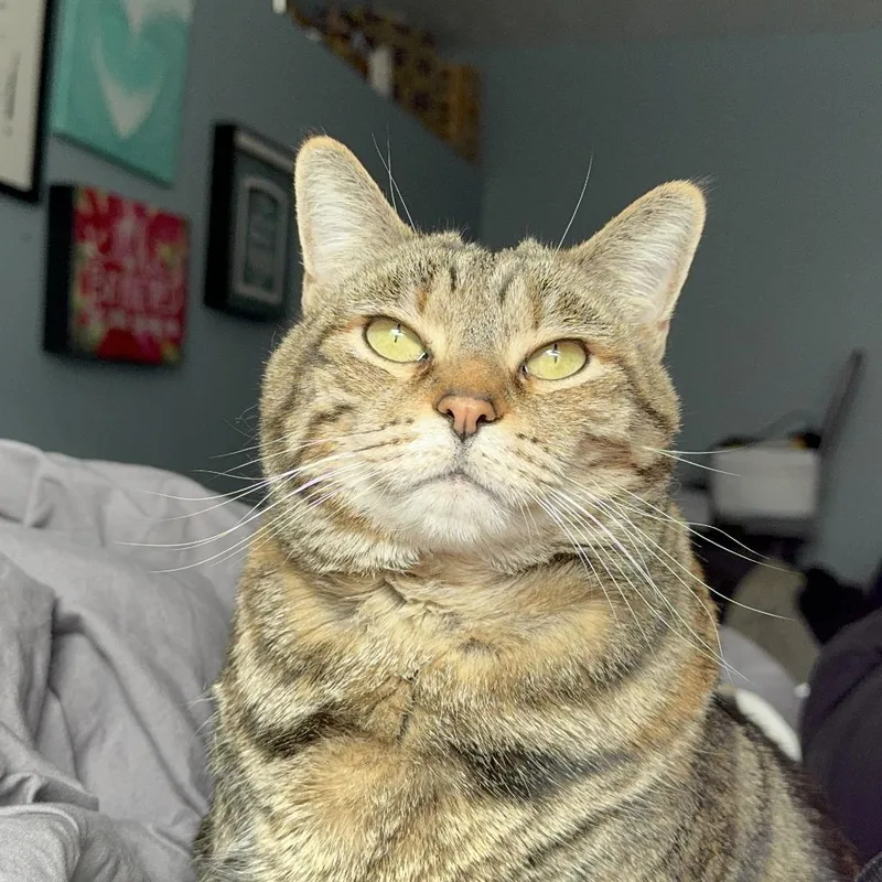 Tuna thumbnail 3