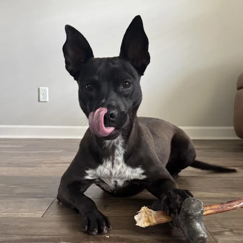 Gertrude