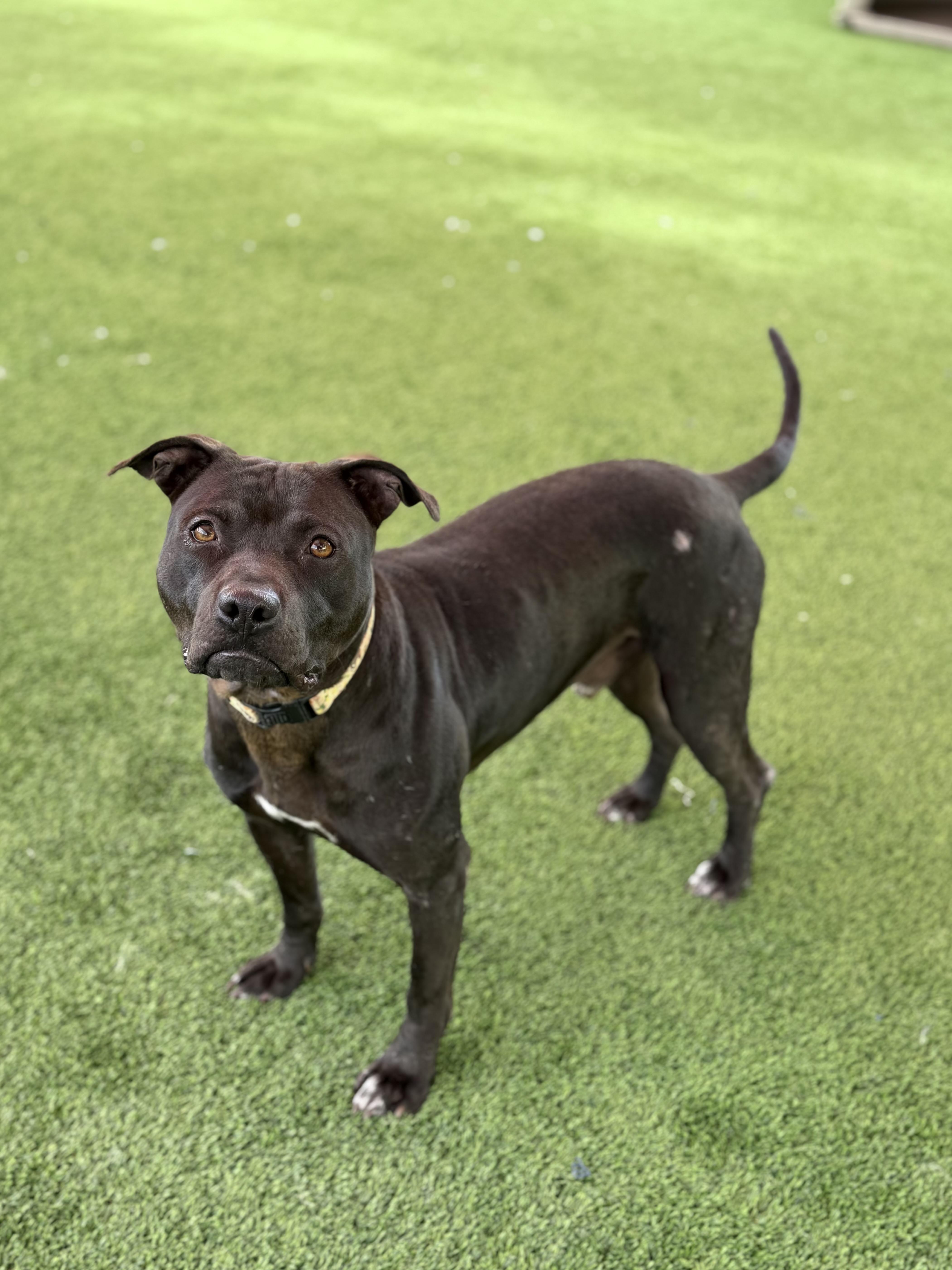 Harrison thumbnail 2