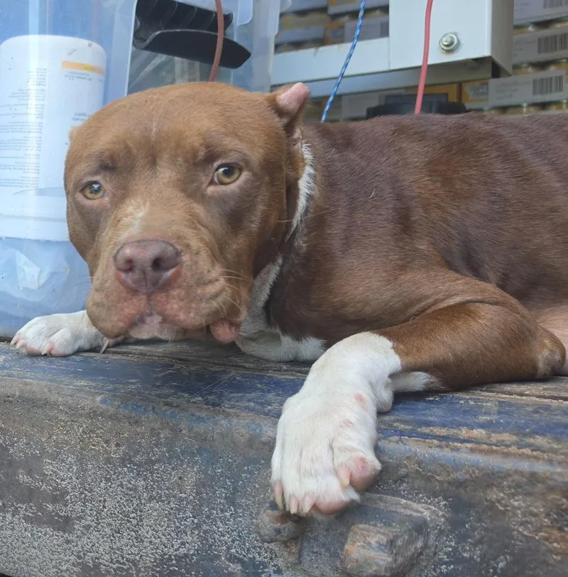 Gracie Mae