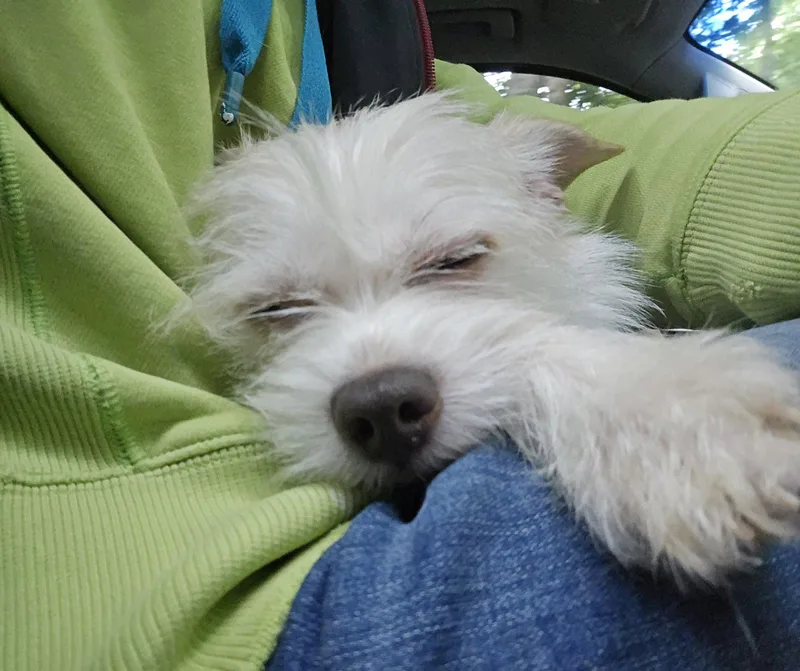 Gwen thumbnail 3