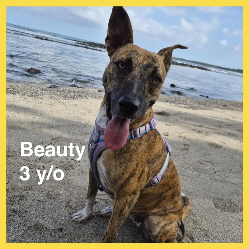 Beauty thumbnail 3